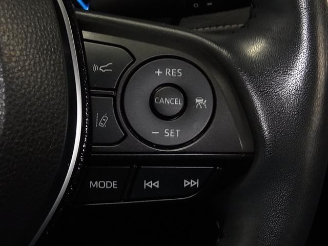 0500075A20260801K00617.jpg