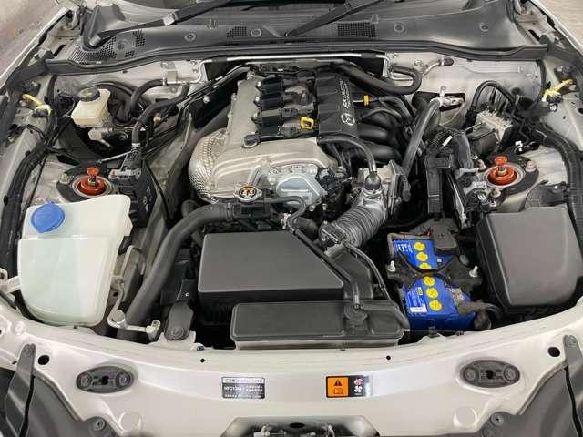 8201581A30260804W00419.jpg