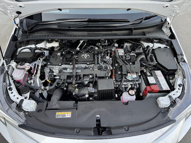 9cb6f69756715c4eb1345ddd45781850.jpg