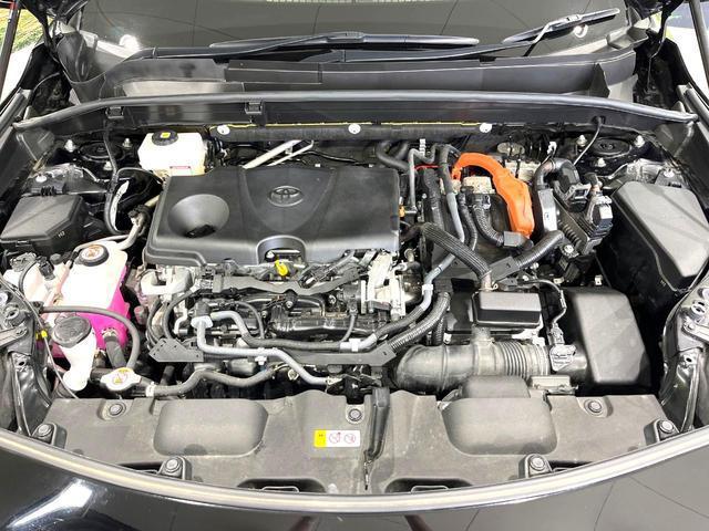 24581985_carP_l_18.jpg