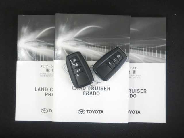 24480297_carP_l_20.jpg