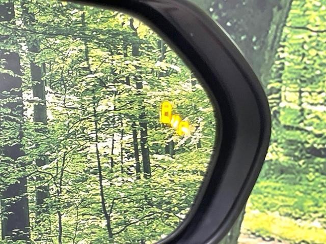 26557717_carP_l_14.jpg
