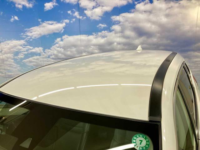 0310532A30260517W00106.jpg