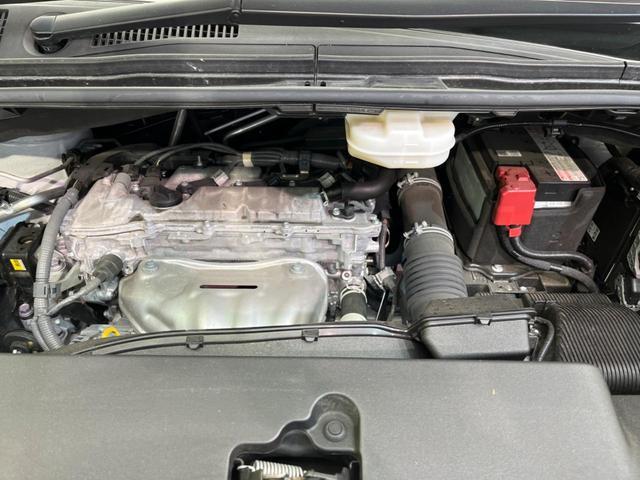 24481522_carP_l_16.jpg