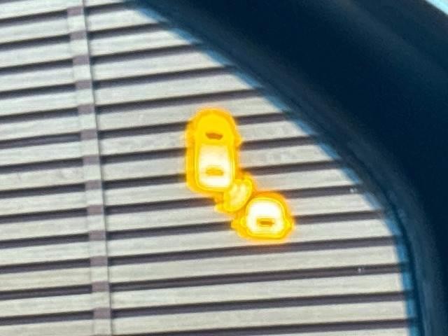 0208369A20260831D00305.jpg