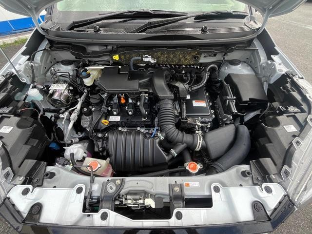 27052059_carP_l_18.jpg