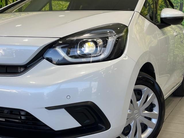 26534407_carP_l_6.jpg