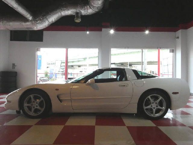 c0644c9c1c73d74312902fef41b1f519.jpg