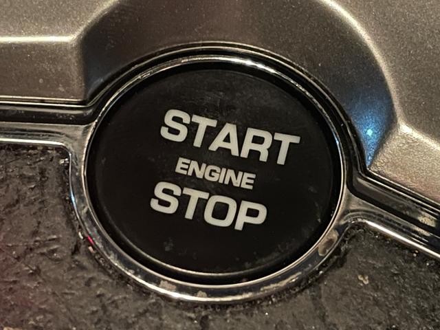 9900224A30260822W00113.jpg