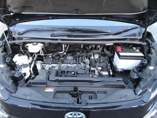 0506241A30261010W00519.jpg