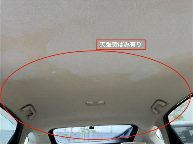 0a3a7104c1a10dbdf6e348d367910bf9.jpg