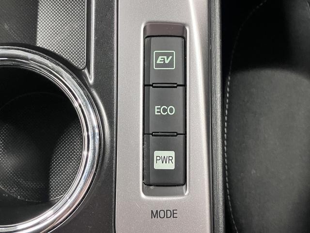 0500075A20260801K04219.jpg