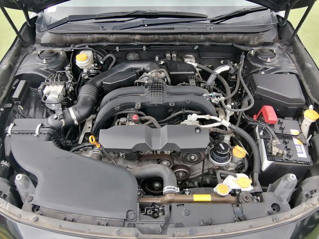 24363273_carP_l_17.jpg