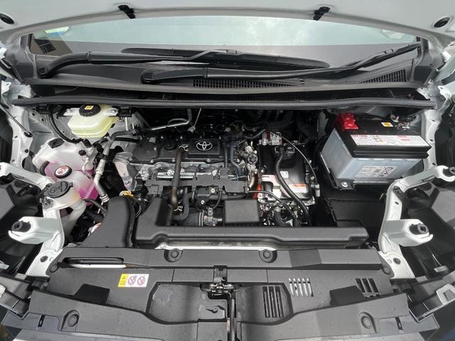 27052062_carP_l_18.jpg