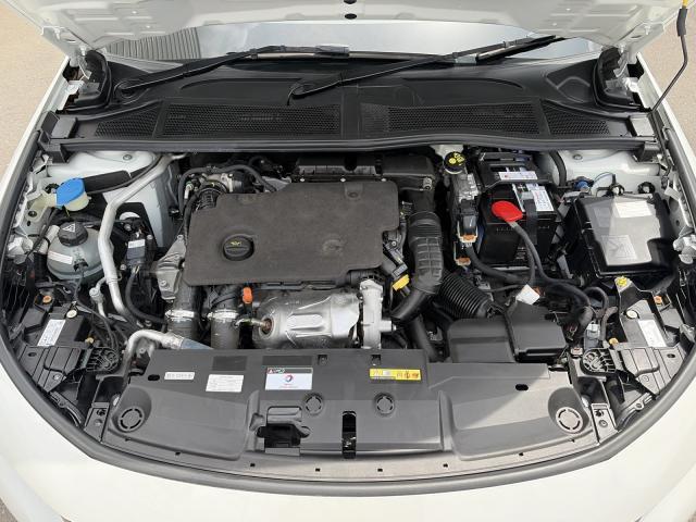 24224052_carP_l_4.jpg