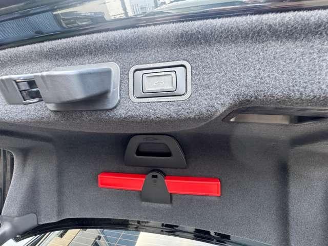 9510217A30260709W00115.jpg