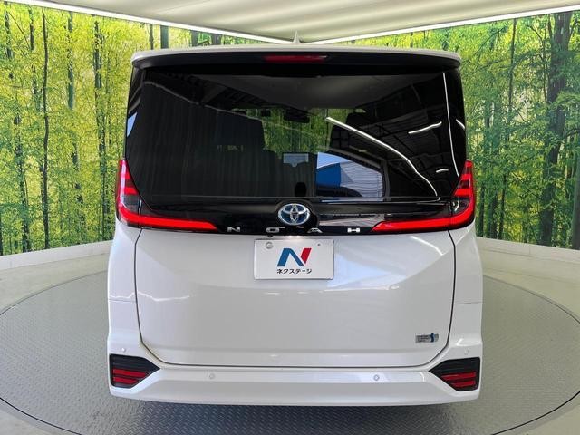 27011563_carP_l_12.jpg