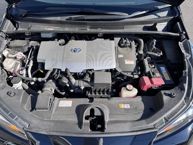 0207464A30261007W00719.jpg
