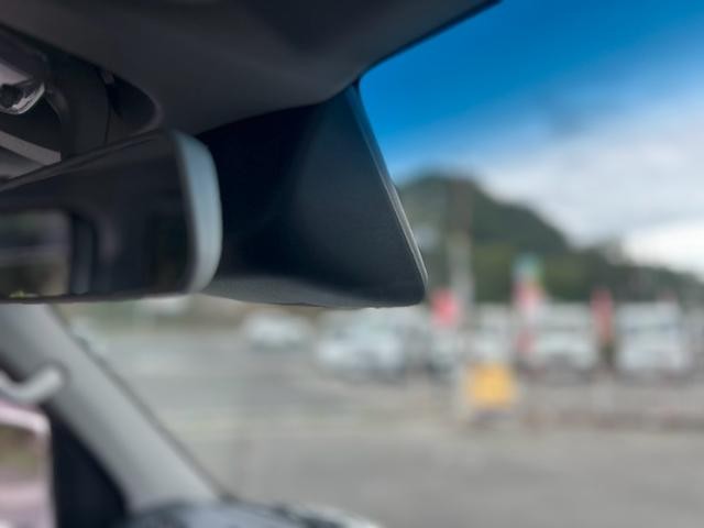 1000946A30260901W00108.jpg