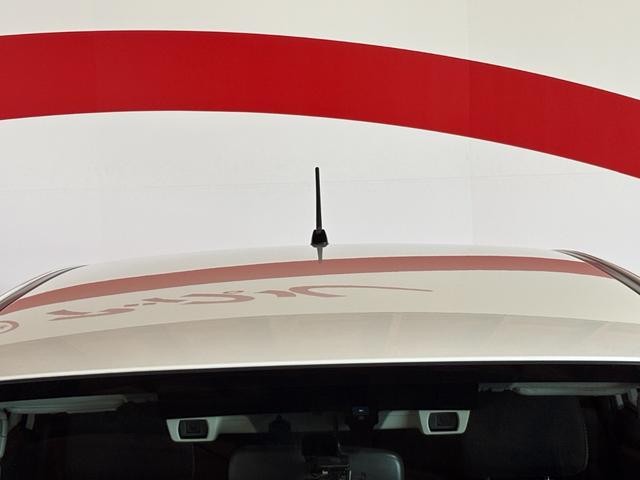 0903185A30260919W00906.jpg