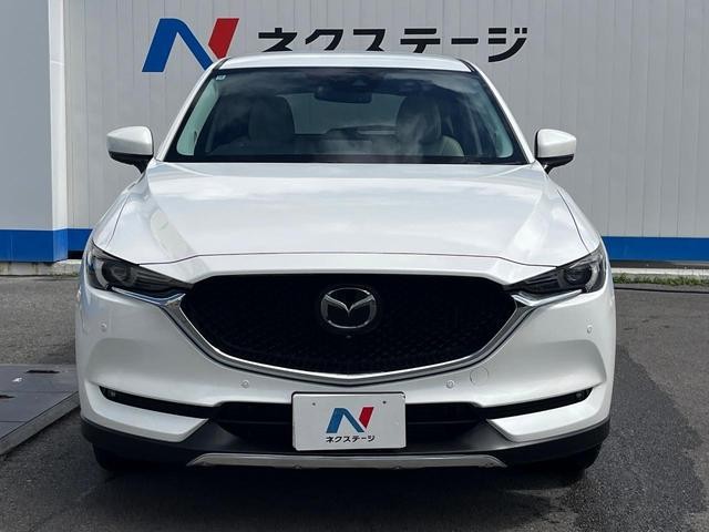 27094430_carP_l_9.jpg
