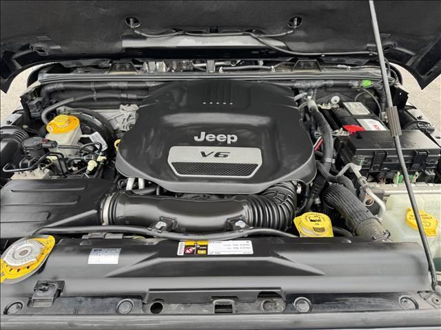 24484863_carP_l_8.jpg