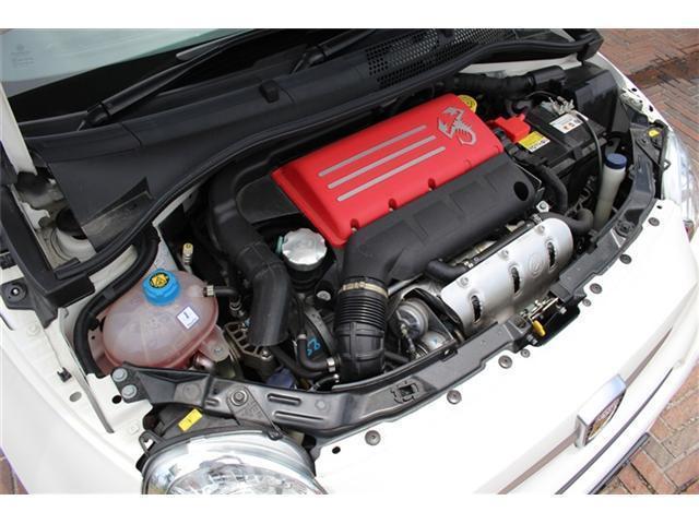 24486772_carP_l_16.jpg