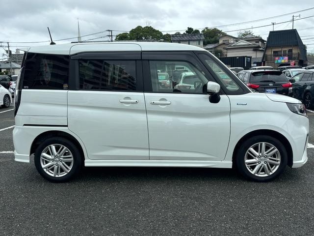 0805247A30260624W00107.jpg