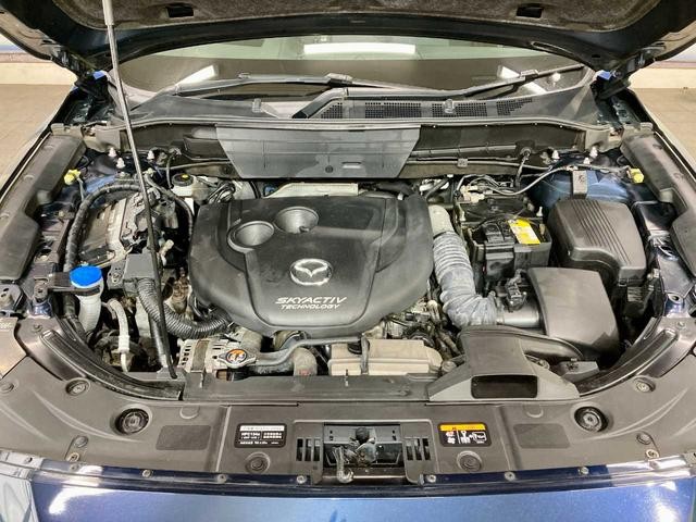 0310532A30260820W00307.jpg