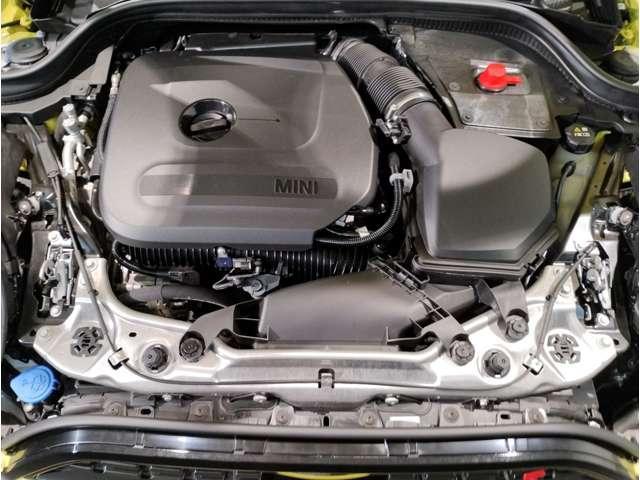 24490864_carP_l_2.jpg
