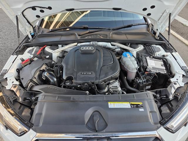 9572574A30260808W00314.jpg