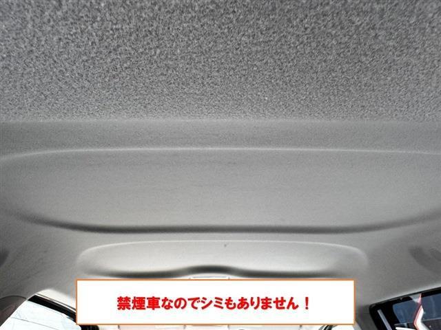 24224520_carP_l_6.jpg