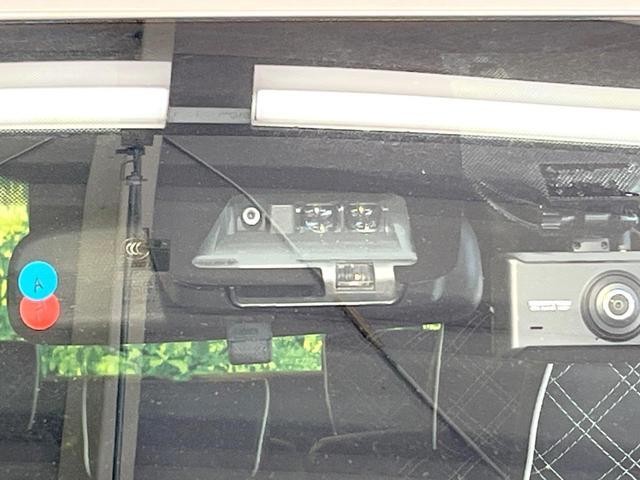 27094223_carP_l_14.jpg