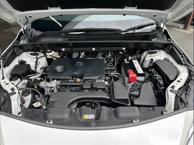 0602361A20261005D00113.jpg