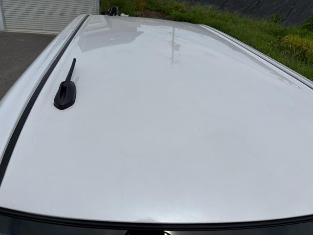 0708129A30260908W00116.jpg