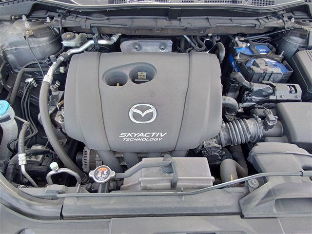 08.jpg