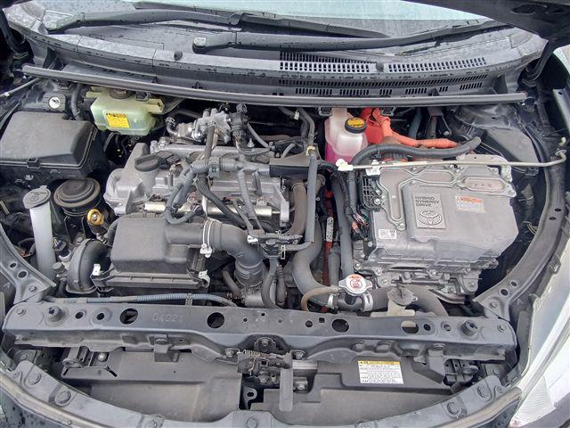 08.jpg