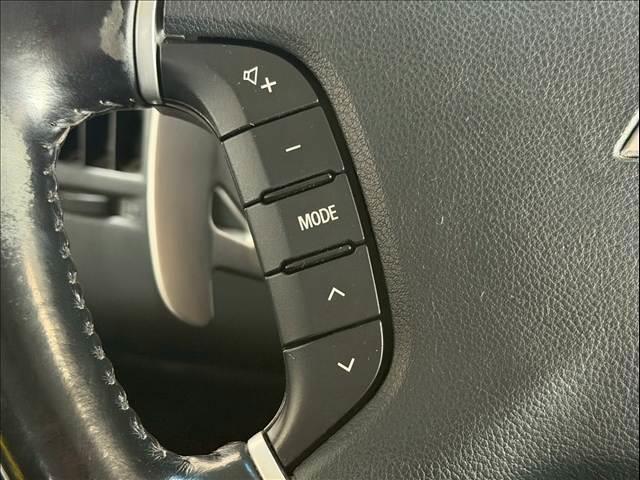 24495860_carP_l_8.jpg