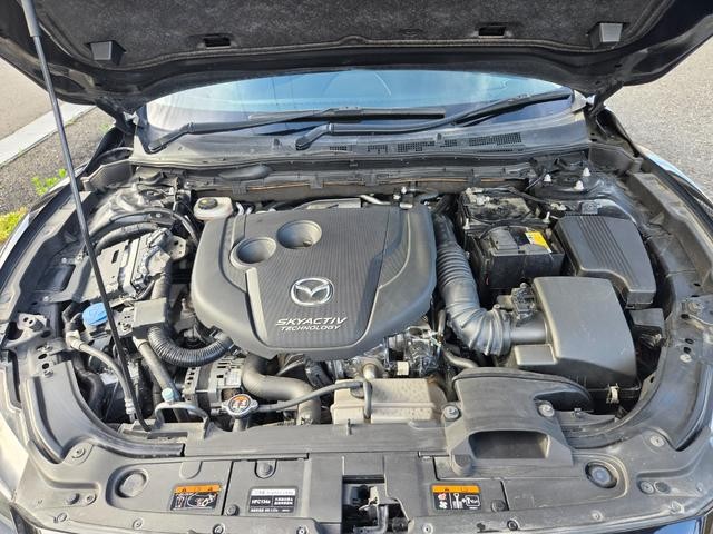 9572574A30260808W01016.jpg