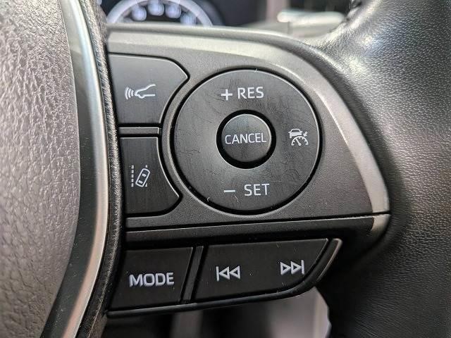 26572469_carP_l_10.jpg
