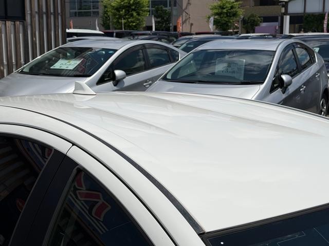 0706195A30260711W00209.jpg