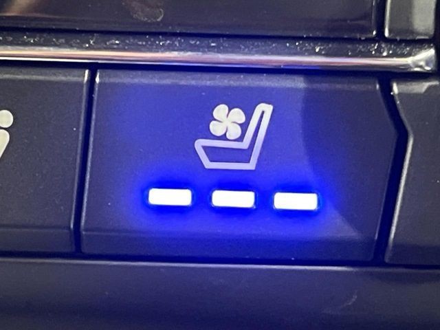 0c3c742ec377081a9dd5c9f2253497bb.jpg