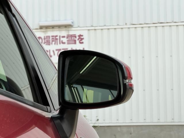 0300075A30260829W00217.jpg