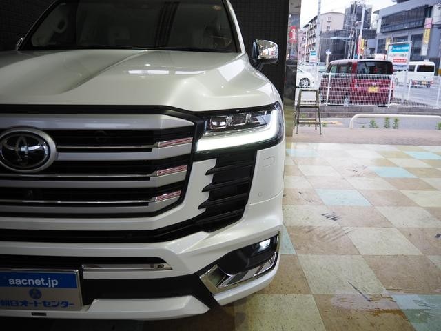 0707753A30260905W00111.jpg