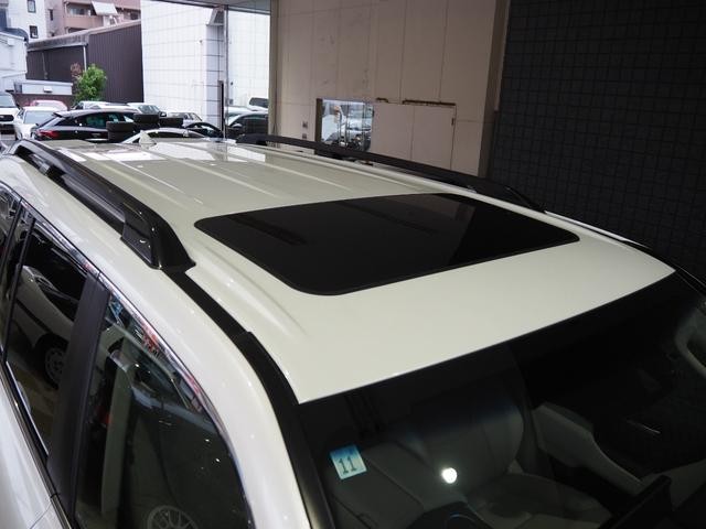 0707753A30260905W00113.jpg