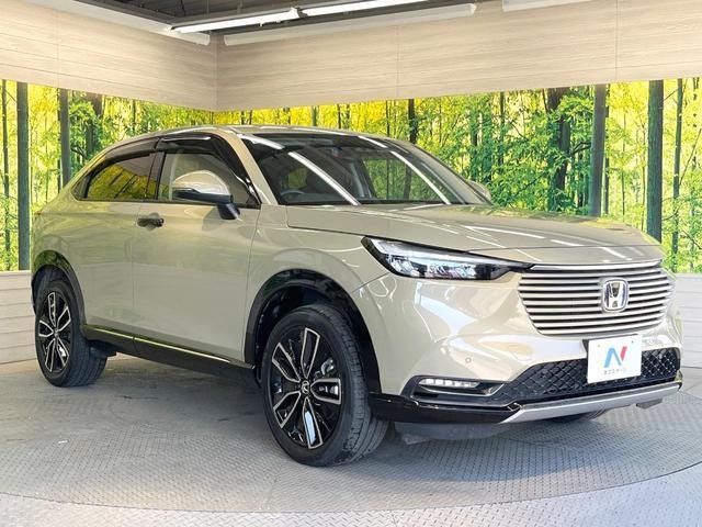 27204494_carP_l_11.jpg