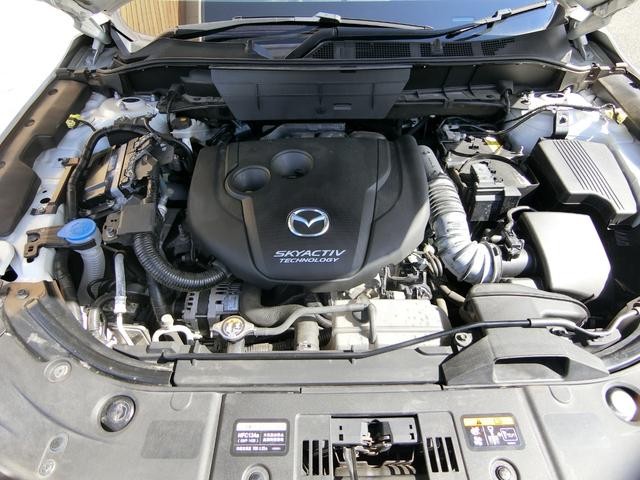 1001682A30261008W00117.jpg