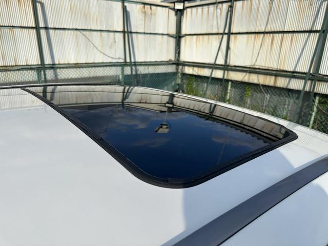 24624791_carP_l_10.jpg