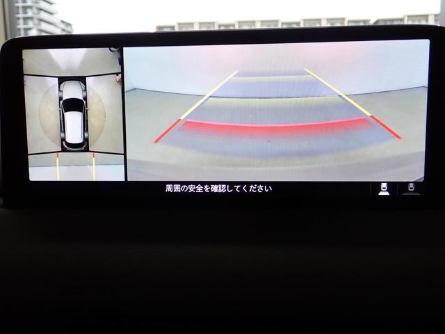 0509002A30261006W00207.jpg