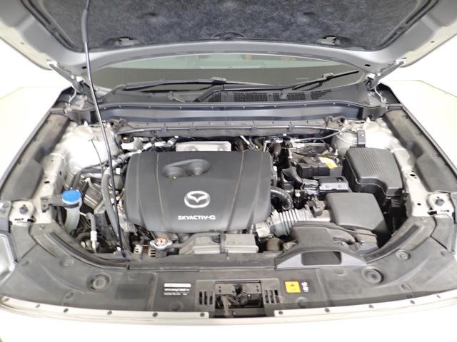0509002A30261006W00216.jpg